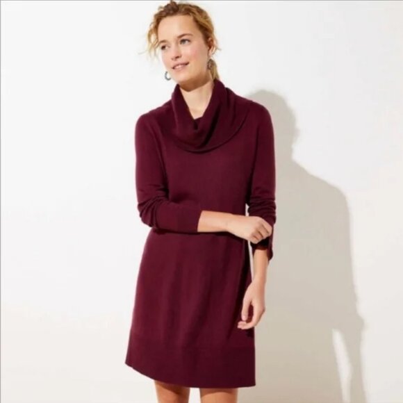 Loft Cowl Sweater Dress - Picture 1 of 4